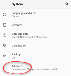 Advanced options in system reset