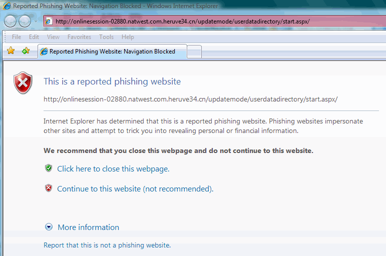 Example Phishing Web Site Warning