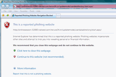 Example phishing web site warning