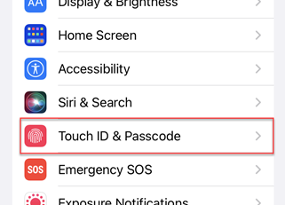 Touch ID and passcode option in settings