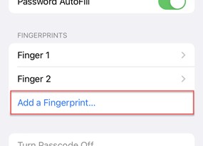 Add a fingerprint option on iPhone