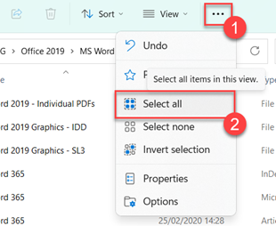 Select all files option in the "more menu" in file explorer