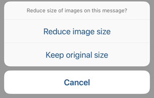 Keep or reduce size of image buttons