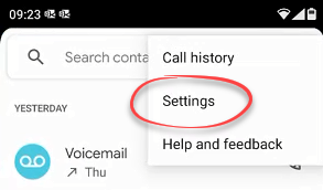 Settings option in the call app menu