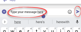 Type your message in the box, send button highlighted