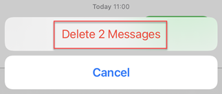 Confirm deletion of message