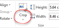 Crop button in the ribbon