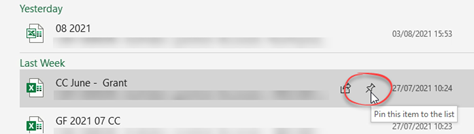 "pin" icon highlighted to show how to pin the file to the top of the pinned list