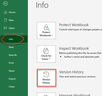 Version history button in the info window in Excel