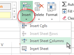 Insert button, insert sheet columns selected