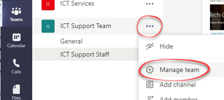 Settings option, manage team option selected