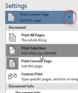 Print current pages option selected