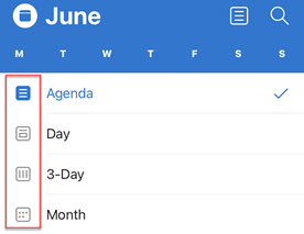 Outlook calendar view options