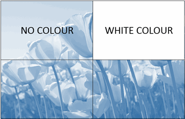 Shows difference between shading a cell white and using "no colour"