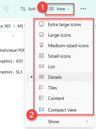 View drop down menu in File Explorer