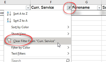 Clear filter option on a field in Excel
